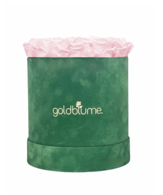 Colección Terciopelo Verde