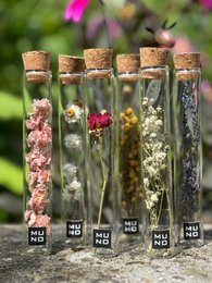 Tall glass tubes containing various dried flowers and plants. Includes a variety of colors, shapes, and textures such as purple, yellow, and white flowers, as well as feathers and other natural elements.