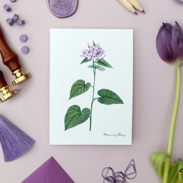 Lilac Pack - Handmade Postcards A6 with Envelope - Botanical Vintage
