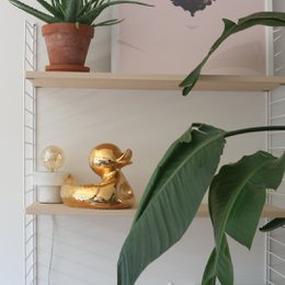 Hr. Ugly Duckling Small & Large