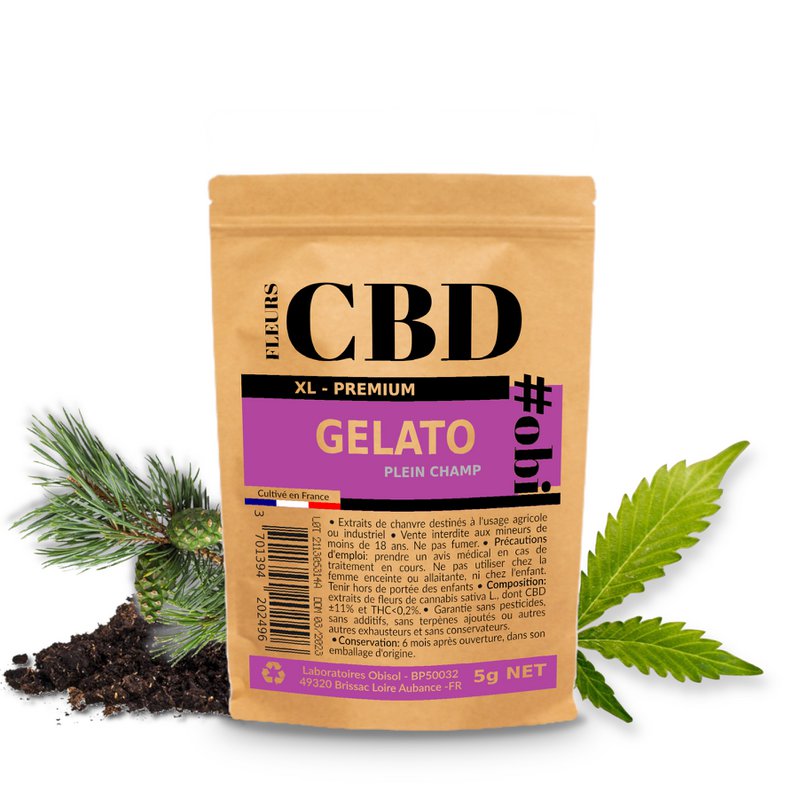 CBD Gelato XL Flowers