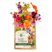 Hängender Garten – Schmetterlingsblumen