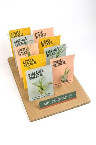 Plantenvriendjes met luchtplantje – zuignap & kaart – set van 9 stuks