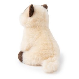 BTC - Eddie the Siamese in gift box - 17 cm -