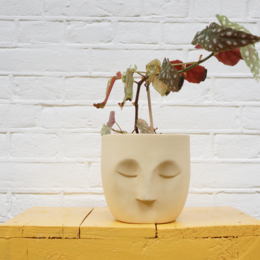 A round, yellow ceramic planter with a face design, holding a small plant with red berries.