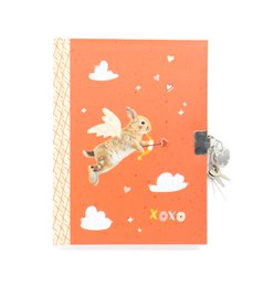 Cute orange diary with bunny illustrations and cloud patterns. Suitable for children's use.