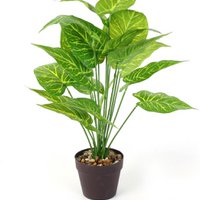 Plastic Dieffenbachia - Ø 15 x 55 cm - Tropical houseplant - Realistic fake plant - Maintenance -free and allergy -friendly inner plant - Green