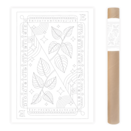 Epipremnum Aureum Coloring Poster 50x70 cm - Decorative poster featuring a botanical design with leaves and stars, suitable for coloring.