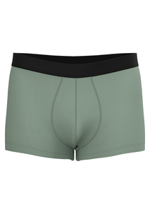 2121 | Herren Trunkshorts