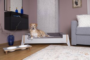 Bed Easy, Hunde- & Katzenbett (MATRATZE SEPARAT BESTELLEN)