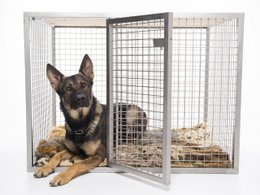 A medium-sized square dog bed made of a metal wire frame, suitable for pets.
