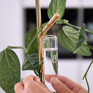 Air Branch – Modulares Anlagenunterstützungssystem