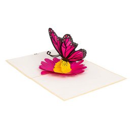 Schmetterling Pop Up Karte