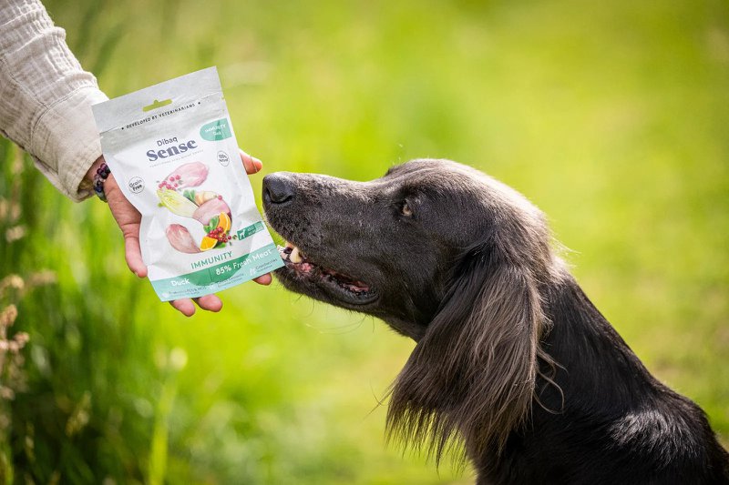 DIBAQ SENSE Immunität Ente 100g