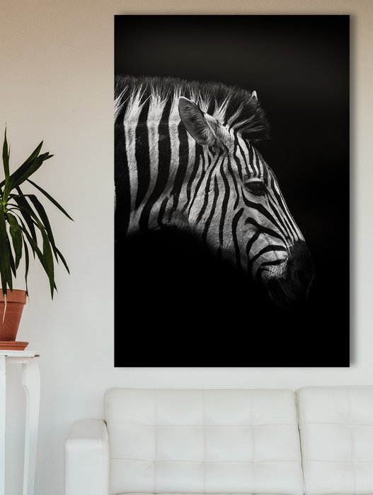 Dark Zebra
