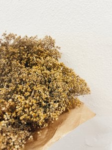 Bezem Bloom Natuurlijke gedroogde bloemen