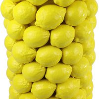 VAAS LIMON (HOFF6342)