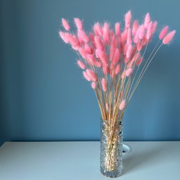 Bunny Tails (Lagurus) 50g Lys Pink