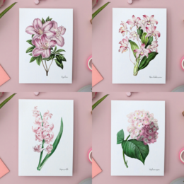 Pack Todos los Colores - Postales Hechas A Mano A6 con Sobre - Botanical Vintage