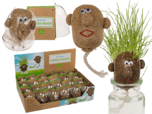 Grass head,