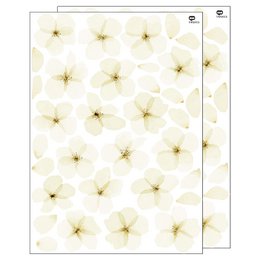 Vægklistermærke akvarel kirsebærblomst