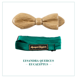 LYSANDRA QUERCUS