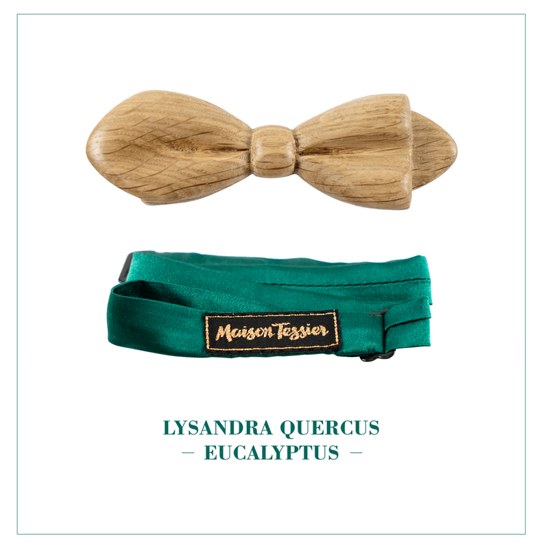 LYSANDRA QUERCUS