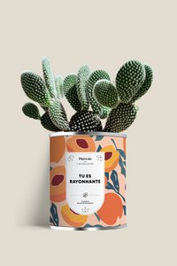 YOU ARE RADIANT - Large model