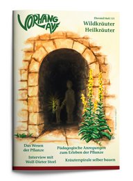 Magazyn dla dzieci Waldorf - KURTYNA NA Wydaniu 131 Dzikie zioła, zioła lecznicze