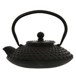 A black cast iron teapot with a stainless steel filter. The teapot has a textured, dotted surface and a round, curved shape. It appears to be a traditional Japanese-style teapot.