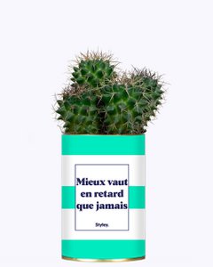 Mieux vaut en retard que jamais - Cactus
