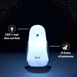 Night light - Penguin Paul - induction charging - white