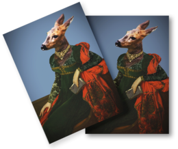 Postcard featuring a deer wearing a red and green robe, with a noble and elegant appearance.