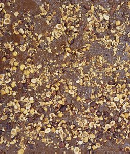 Caramel Plate - Roasted Hazelnut Chips (20%) 2.5 kg