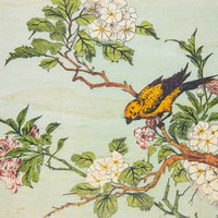 Flower ornaments bnf wooden postcard