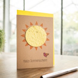 A cheerful greeting card with a sun design and the text "Hallo Sonnenschein" (Hello Sunshine) on a kraft paper background. The card features a bright yellow sun and a small butterfly or ladybug.