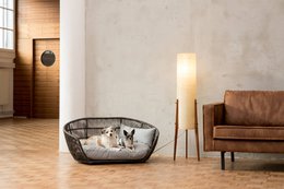 PRADO - Design-Hundebett SMOOTH