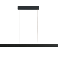 OLIVIER 120 3000K DIMM (10W+40W) BK PENDANT