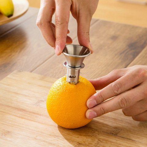Zitronen- und Orangenpresse aus Edelstahl