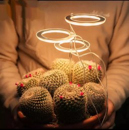 Grow light rings for before flowering, featuring a round, tall cactus-like plant with glowing rings above it. The product is part of a grow kit category.