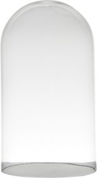  Clear glass dome cloche, tall cylindrical shape, transparent, decorative plant cover, minimalist modern style.