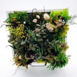 Firkantet stabiliseret plantebillede 20 x 20 cm