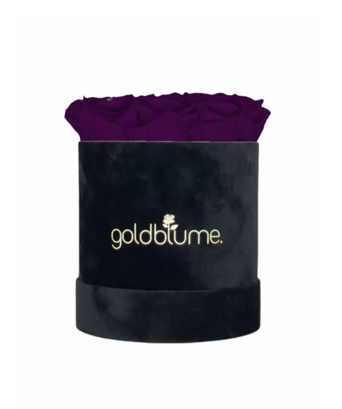 Velvet Black Collection