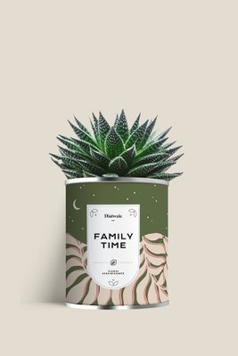 Kit de graines - Family time – Diaiwaie
