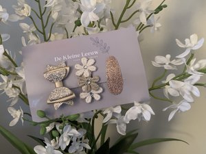 Setje 4 haarspeldjes