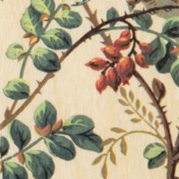 wooden bookmarks Mp. parrot wallpapers