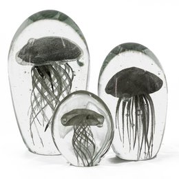 Jellyfish in glass