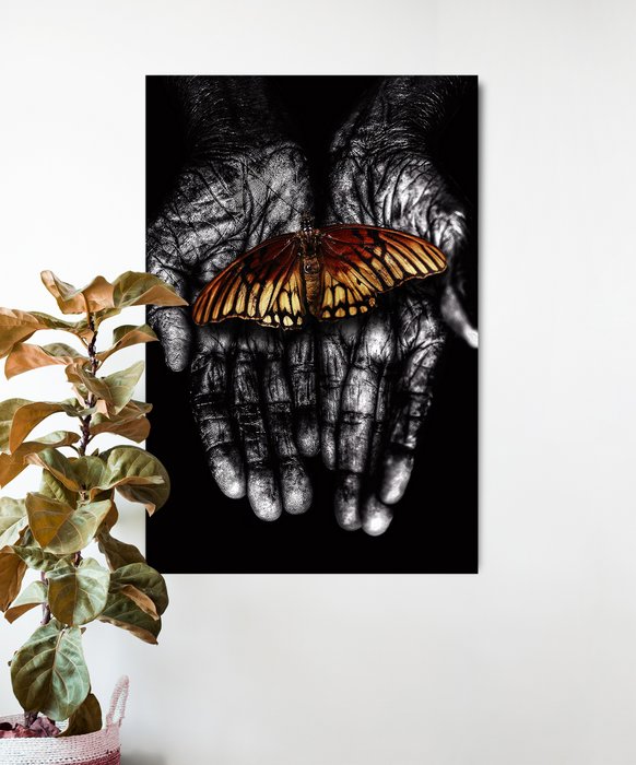 Delicate Butterfly