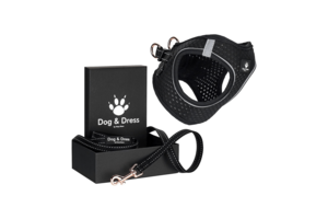 Hondentuig + riemset "Kleintje" voor puppy's