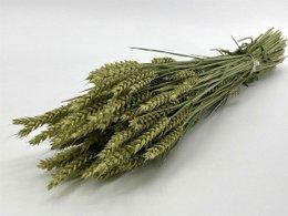 Dried wheat stalks, 60 cm long, in natural, copper, gold, pink, and black color variants.